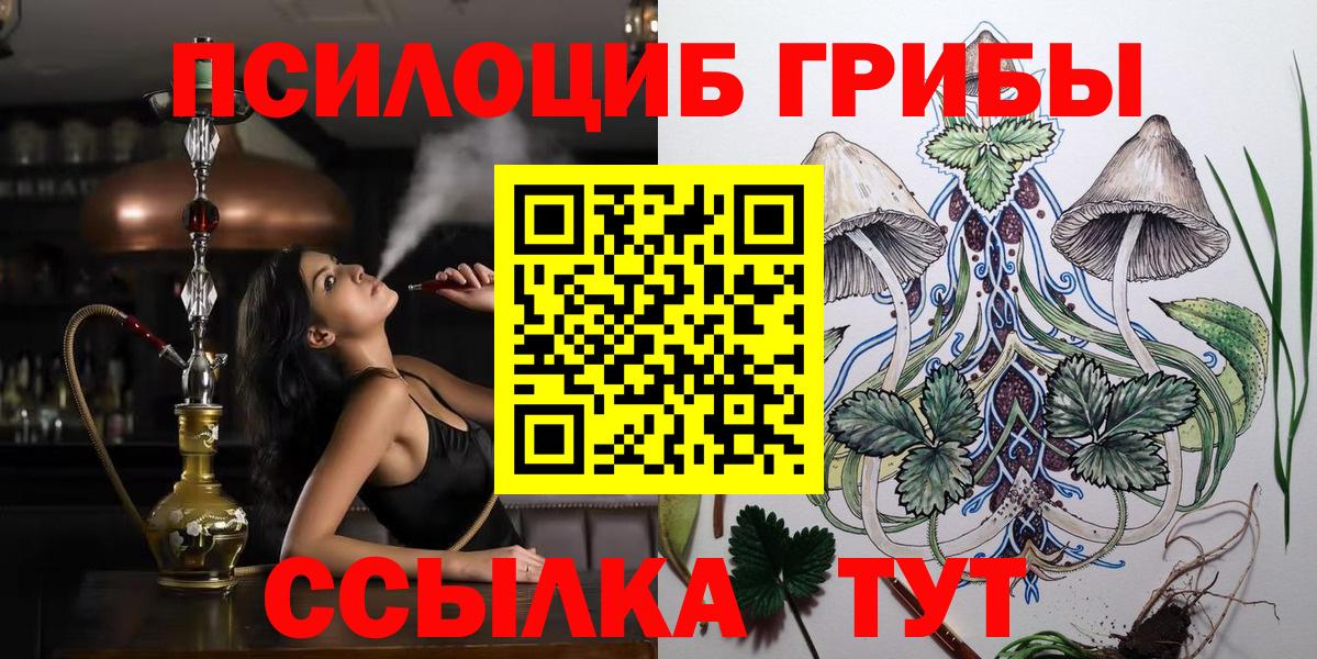 Галлюциногенные грибы Psilocybine cubensis  Вход с VPN  Первоуральск 